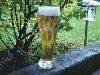 Weizenbier2.jpg