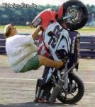 Speckie.jpg Speckie.jpg