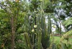 DSC_0178.jpg