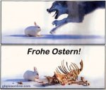 hase.jpg hase.jpg