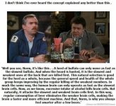 Beer consumption.jpg