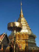 IMG_0686.jpg