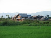 IMG_1534.jpg