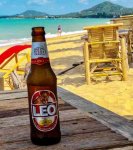 0008-Samui-20190226-7394,medium_large.2x.1551172954.jpg 0008-Samui-20190226-7394,medium_large.2x.1551172954.jpg