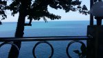 20151203_104710.jpg