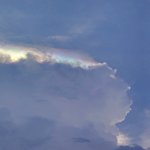 IMG_20220512_163435.jpg