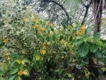 IMG_20230612_061658.jpg