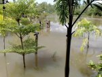 Ueberschwemmung Mae Nam Chi.jpg Ueberschwemmung Mae Nam Chi.jpg