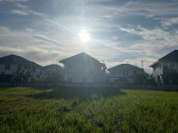 IMG_8995.jpeg