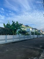 IMG_8994.jpeg