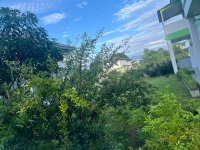 IMG_8985.jpeg
