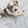 berti
