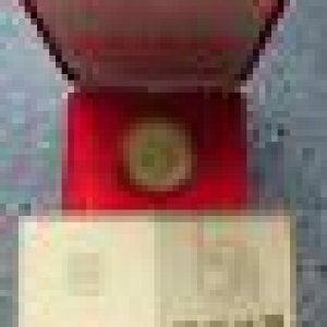 100 Yuan Chinesischer Tiger 1989 PP Gold box u CoA fremd