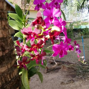 IMG 20181213 160228