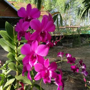 IMG 20181213 160236