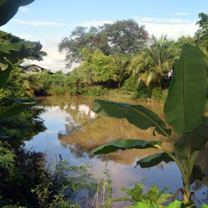 DSC 0124