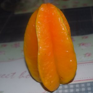 Riesen Sternfrucht